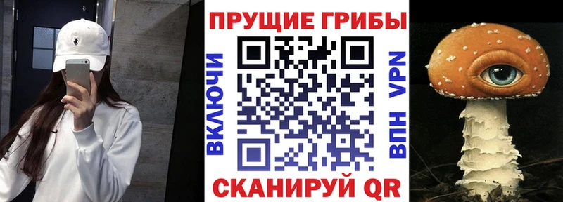 Галлюциногенные грибы мицелий  Северская 