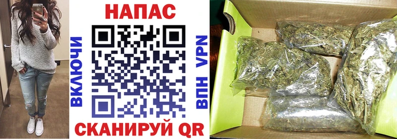 Бошки Шишки марихуана Северская